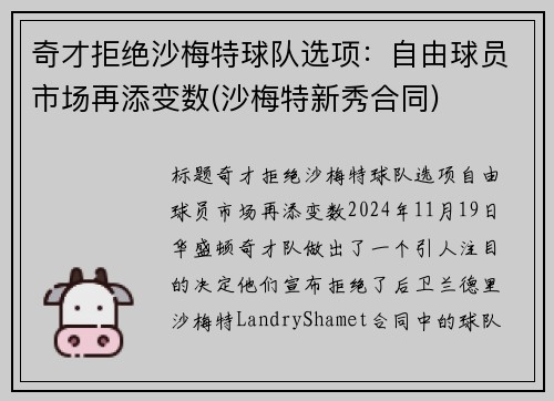 奇才拒绝沙梅特球队选项：自由球员市场再添变数(沙梅特新秀合同)