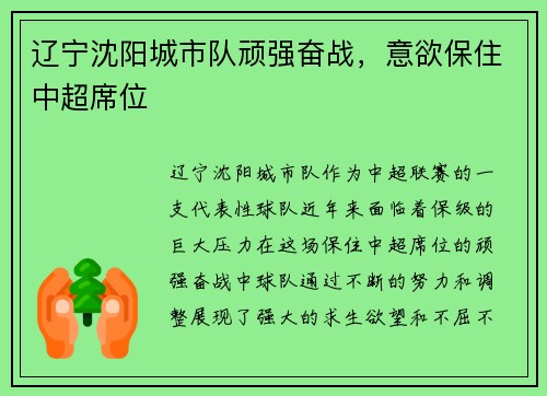辽宁沈阳城市队顽强奋战，意欲保住中超席位